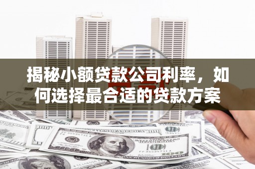 泗县揭秘小额贷款公司利率，如何选择最合适的贷款方案