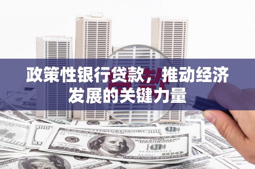 泗县政策性银行贷款，推动经济发展的关键力量