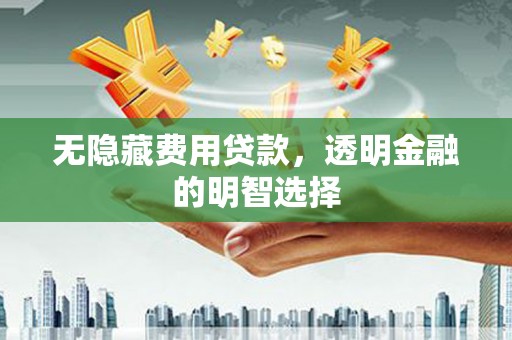 泗县无隐藏费用贷款，透明金融的明智选择