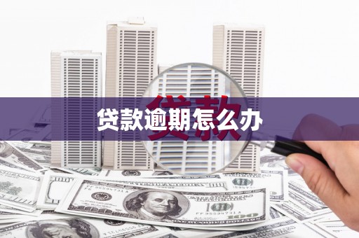 泗县贷款逾期怎么办