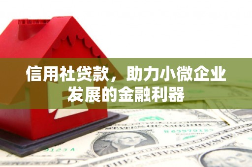 泗县信用社贷款，助力小微企业发展的金融利器