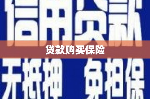 泗县贷款购买保险
