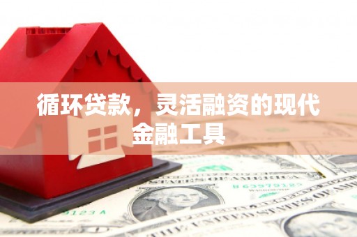 泗县循环贷款，灵活融资的现代金融工具