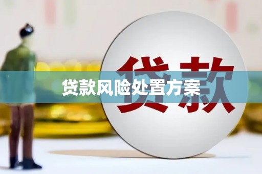 泗县贷款风险处置方案