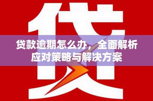 泗县贷款逾期怎么办，全面解析应对策略与解决方案