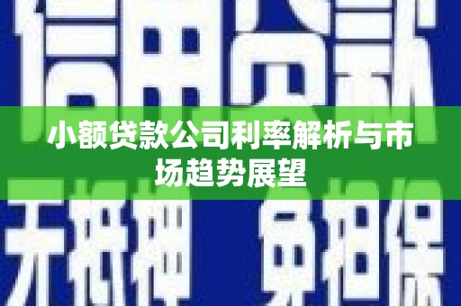 泗县小额贷款公司利率解析与市场趋势展望