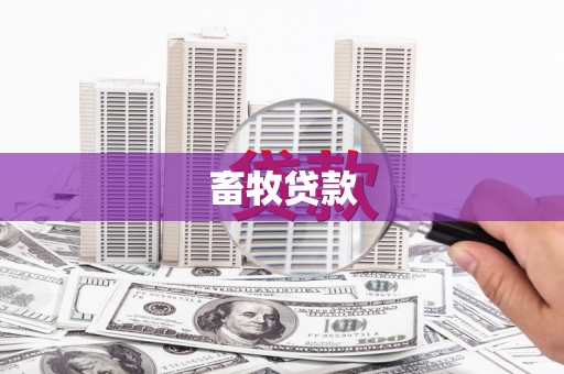 泗县畜牧贷款