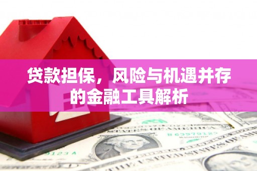 泗县贷款担保，风险与机遇并存的金融工具解析
