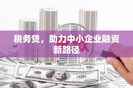 泗县税务贷，助力中小企业融资新路径