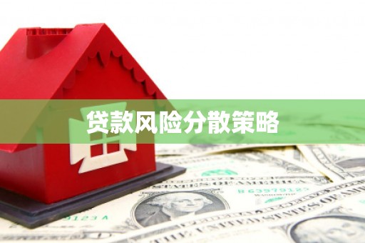 泗县贷款风险分散策略