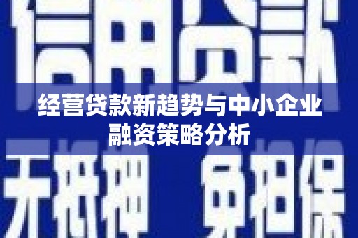 泗县经营贷款新趋势与中小企业融资策略分析
