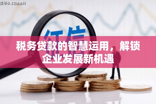 泗县税务贷款的智慧运用，解锁企业发展新机遇