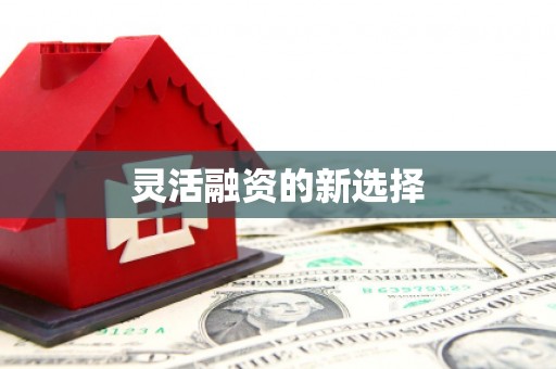 泗县灵活融资的新选择