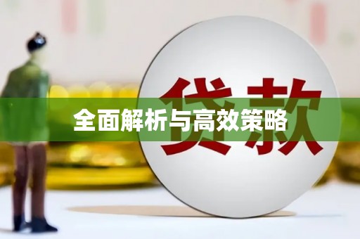 泗县全面解析与高效策略