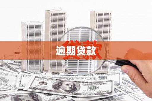 泗县逾期贷款