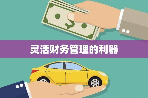泗县灵活财务管理的利器
