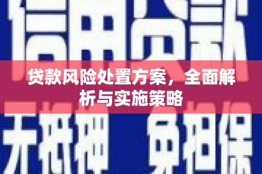 泗县贷款风险处置方案，全面解析与实施策略