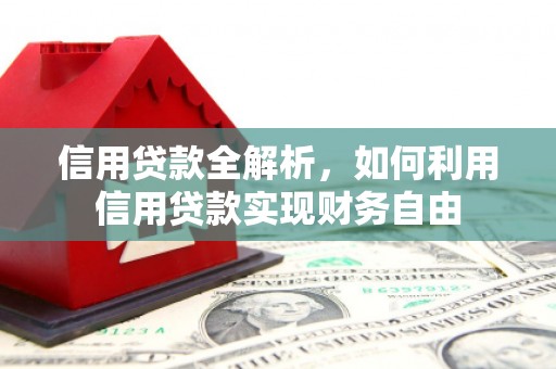 泗县信用贷款全解析，如何利用信用贷款实现财务自由