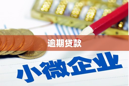 泗县逾期贷款