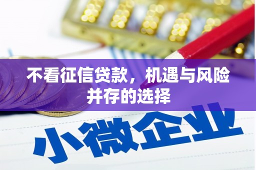 泗县不看征信贷款，机遇与风险并存的选择