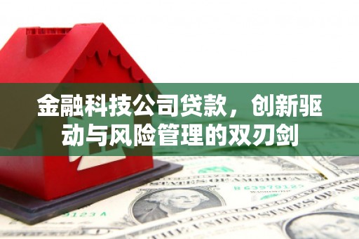 泗县金融科技公司贷款，创新驱动与风险管理的双刃剑